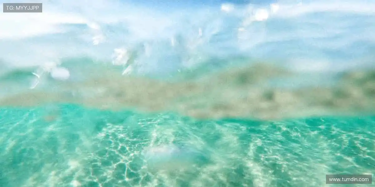 🎯 从装备到情怀，